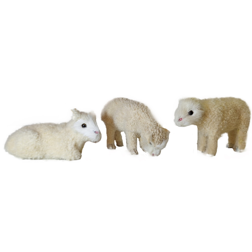 Drei Schafe - stehend, liegend, fressend