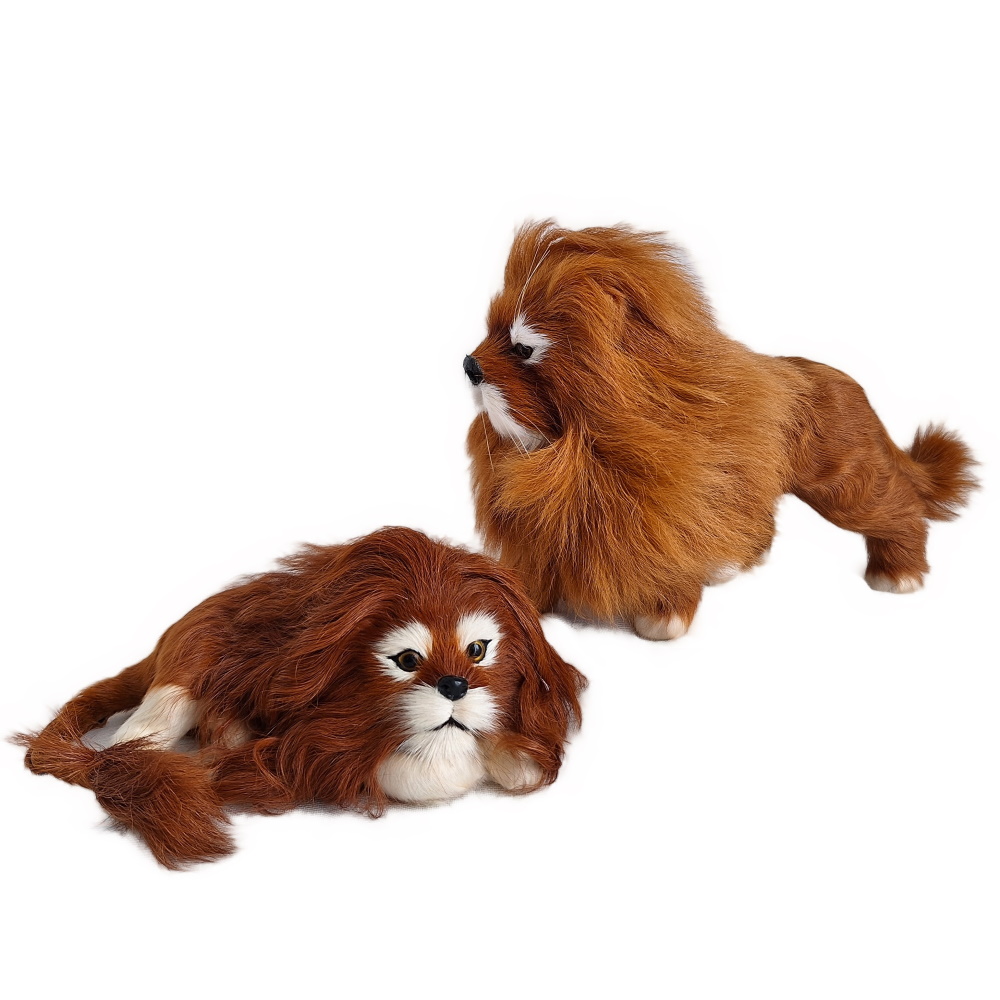 Erwachsener Löwe mit Welpe