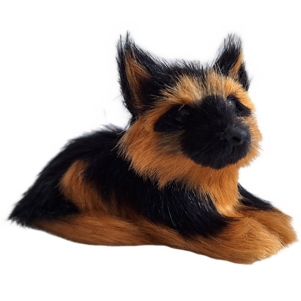 Schäferhund liegend