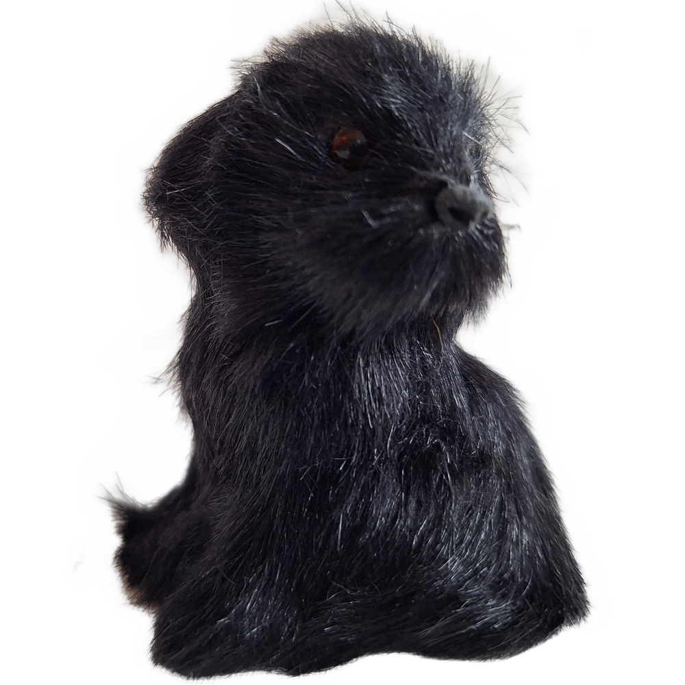 Schwarzer sitzender Hund 